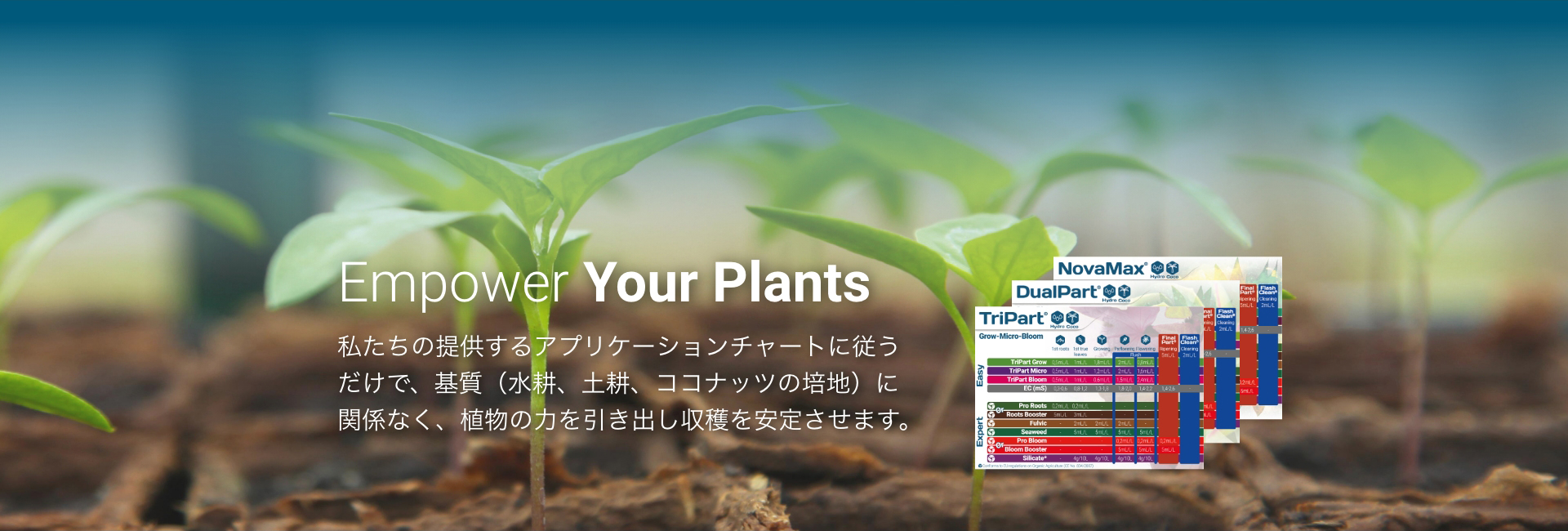 Empower Your Plants － 私たちの提供するアプリケーションチャートに従うだけで、基質（水耕、土耕、ココナッツの培地）に関係なく、植物の力を引き出し収穫を安定させます。