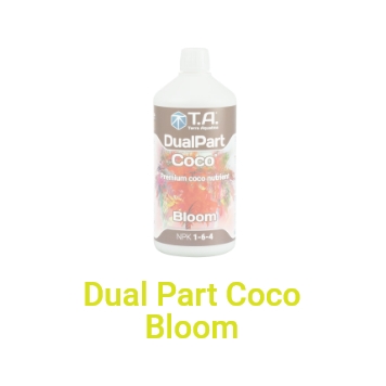 Dual Part Coco Bloom